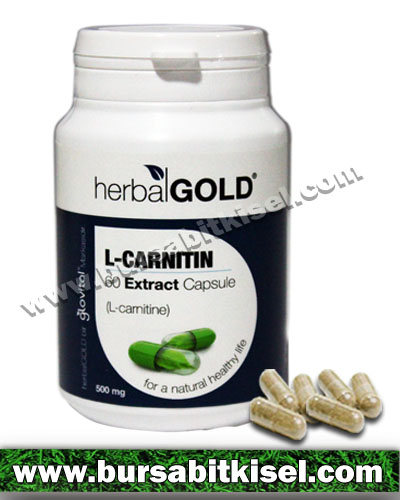 HerbalGold L-Carnitin Ekstrakt 60 Kapsül