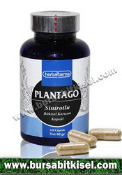 HerbalFarma Plantago 120 Kapsülü