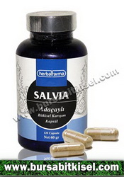 HerbalFarma Salvia 120 Kapsülü